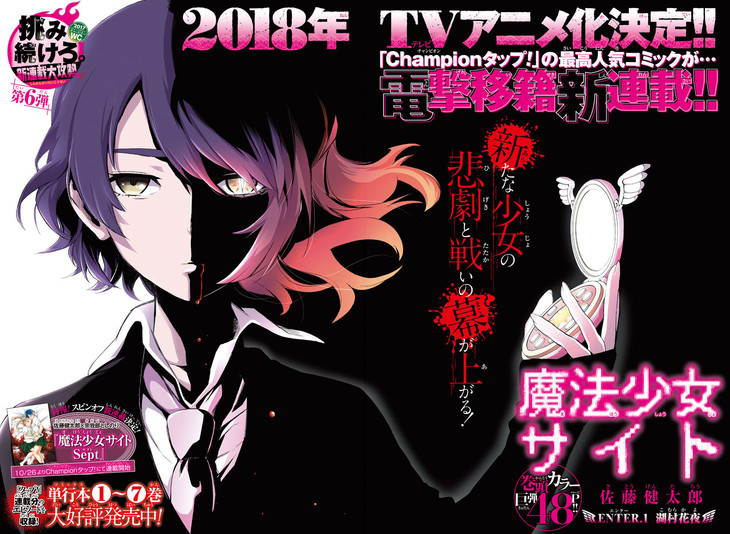 「魔法少女サイト」より。