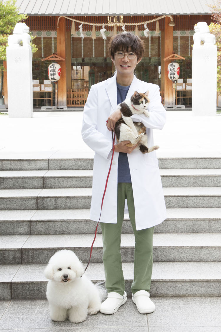 たらさわみち「僕とシッポと神楽坂」TVドラマ化決定、主演は嵐の相葉雅紀（コメントあり） コミックナタリー