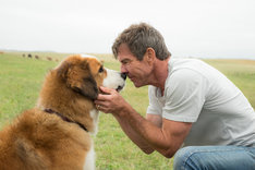 Adogspurpose 20170706 fixw 234