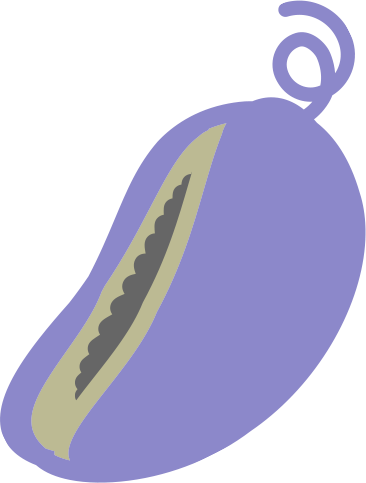 アケビ