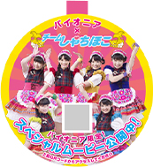 チームしゃちほこ