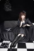 OSTER project