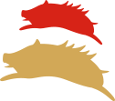 イノシシ
